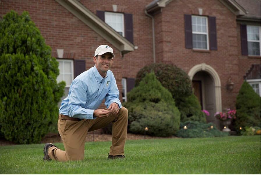 Cover photo of Lawn Doctor of Brandon-Madison-Ridgeland